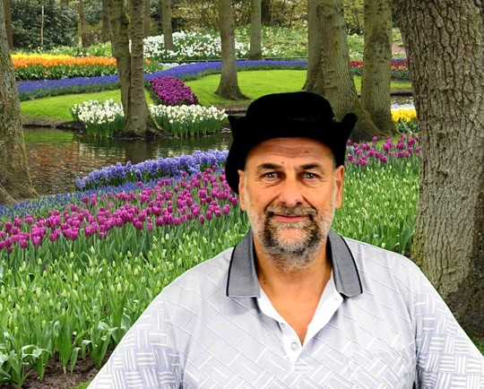 Robert Pavlis