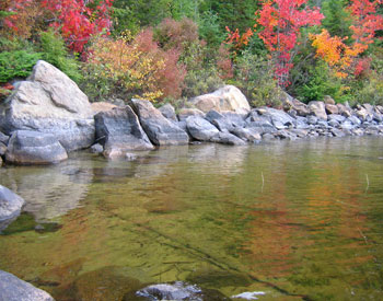 Rocky shoreline with fall colours