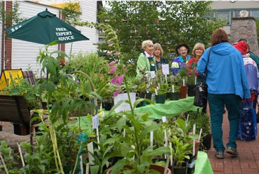 People at the plant sale